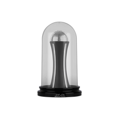 Winners Trophy Silver